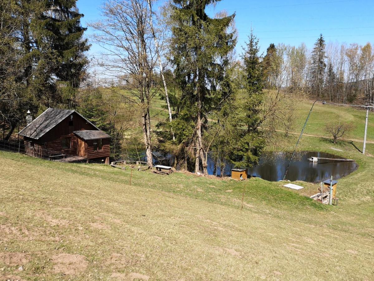 Srub na svahu sjezdovky v Radvanicích Radvanice  Exteriér fotografie