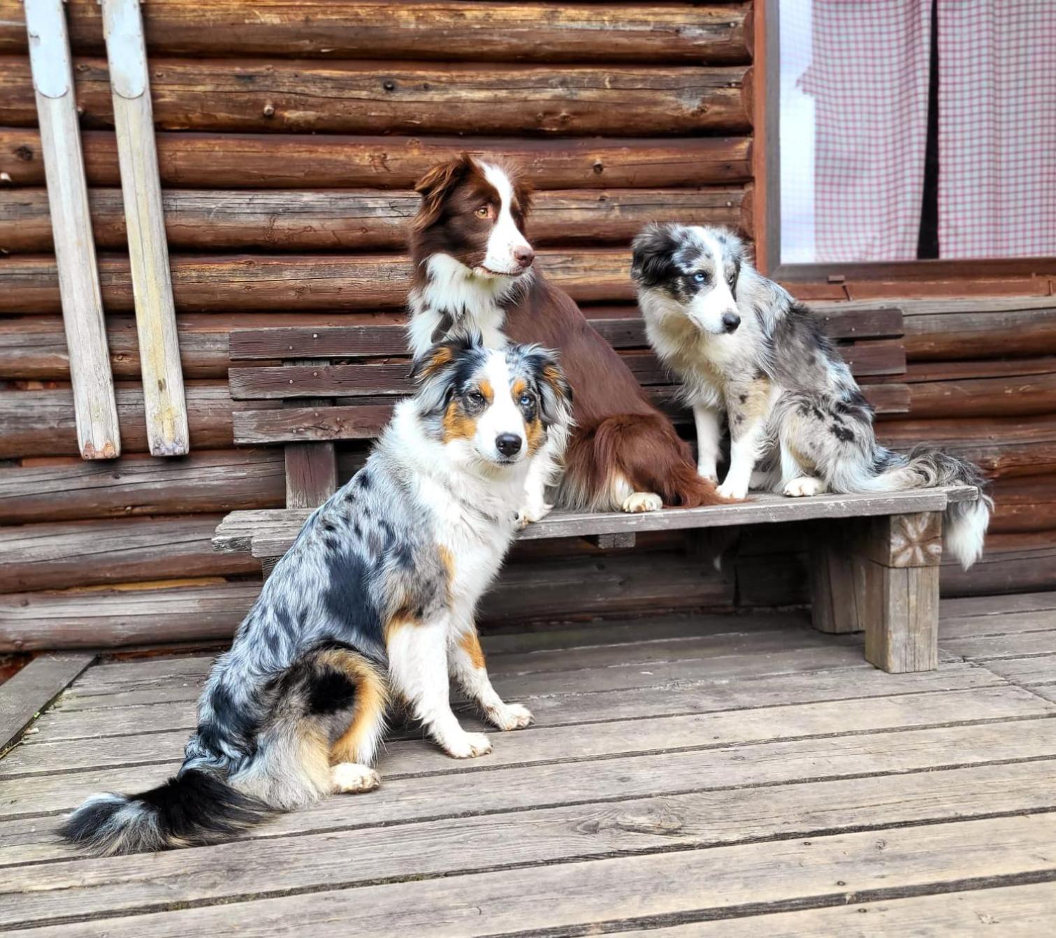 Srub na svahu sjezdovky v Radvanicích Radvanice  Exteriér fotografie